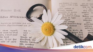 70 Contoh Kalimat Rasional dan Basis dalam Bahasa Indonesia Serta Artinya