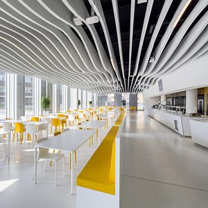 [Hot Item] Sound Absorbing Acoustic Board Fiberglass Ceiling Acoustic Ceiling Baffles