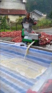 Extracting Starch from Sweet Potato #SweetPotato #StarchExtraction #FoodProcessing #SustainableTech #HealthyIngredients #EcoFriendlyProduction | DealHive