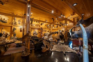 U.P. estate features 640 acres of premier hunting, private lake