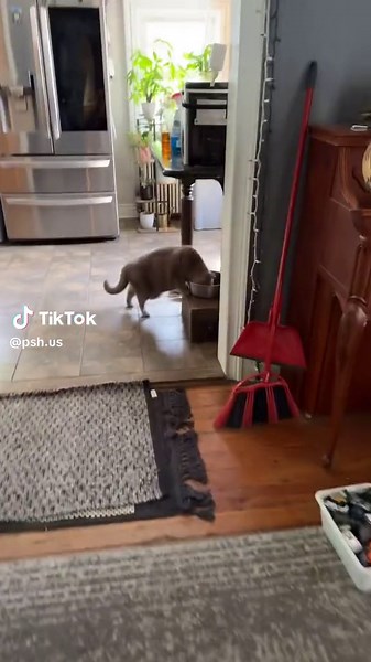 Robert eating Ronnies food #edbassmaster