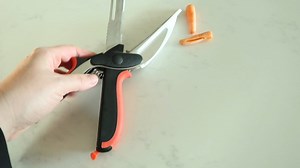 Watch BEST Universal Food Cutter Scissors, Slicer, Kitchen Shears on Amazon Live