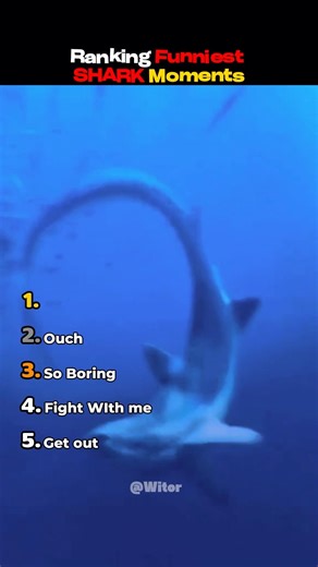 Funniest Shark Fails & Crazy Encounters! 🦈😂 #shorts