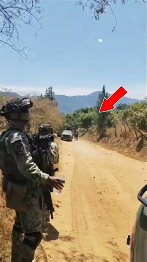 🚨 SINALOA: THE OPERATIONS HAVE ALREADY BEGUN... #breakingnews #mexico #sinaloanews #federaloperation
