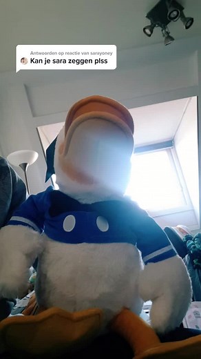 Talking Plush Toy Interaction with Sara