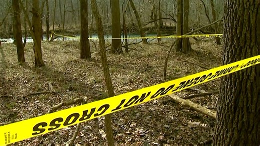 Delphi Murders trial: Testimony from forensic firearm examiner