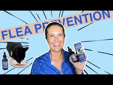 Easy Flea Prevention Your Pets Will Actually Eat | WEALLIN Honest Review
