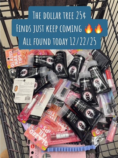 🎯💸 25¢ Dollar Tree Finds?! Yes, you read that right! 😱💥 We hit the jackpot on more of these surprise markdowns—items ringing up for just a quarter! 🪙🛒 That’s 75%–90% OFF Dollar Tree prices 👏 👉 Don’t walk… RUN 🏃‍♀️💨 to your local store and start scanning because these finds are YMMV (your miles may vary) depending on your location 📍📱 💡PRO TIP: Use the Dollar Tree app or price checkers in-store to find those secret 25¢ treasures 🎀 #savingmoney #fyp #deals #dollartreefinds #christmas 
