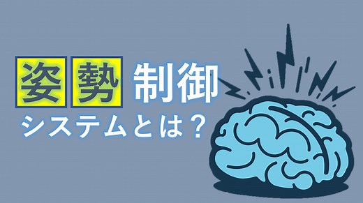 【2023年版】姿勢制御とは？メカニズムからリハビリまで感覚入力 (安定性とオリエンテーション) 脳卒中/片麻痺