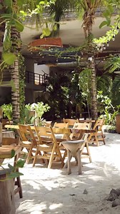 Embark on an extraordinary journey at Mayan Monkey Isla Mujeres! 🏝️ | Mayan Monkey Hotels