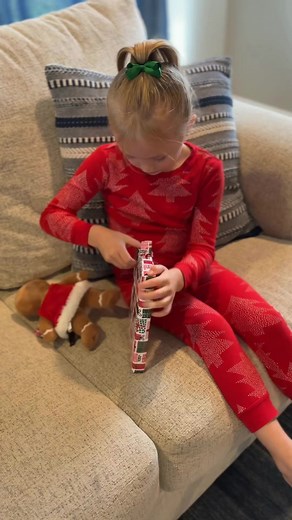 807 reactions · 80 shares | Discover how Santa’s story began! A holiday read filled with courage and magic, from The Elf on the Shelf Santaverse. | The Elf on the Shelf | Facebook