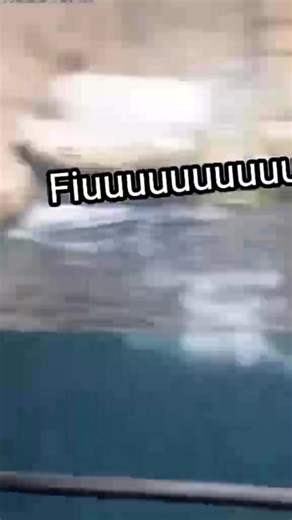 #franchesco #virgolini #fiuuuuuuuuuuuuu #meme #humor #xD #fyp #fypシ #fypシ゚viral #miralo #viral #pinguino #miralo #lentejas #albondigas #memes #memestiktok #alcachofa