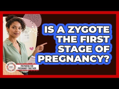 Is a Zygote the First Stage of Pregnancy?