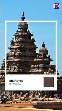 Nippon Paint India | My city My colour : Chennai
