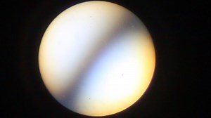 epidote in thin section FKM-44 optic axis figure