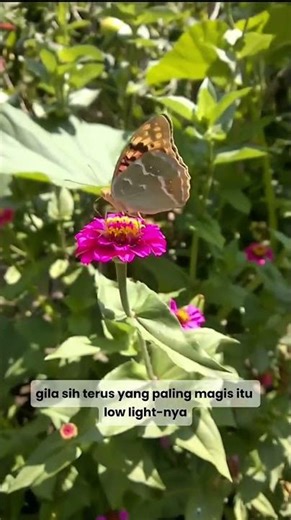 iPhone & Samsung Sungkem? Dengan Hp Ini #nokia #gadgets #smartphone #shorts