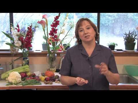 Gardening Lessons : How to Harvest & Store Dry Beans