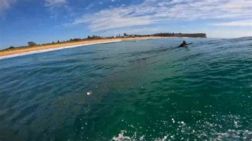 Perfect blue waves and a 10-foot great white on his mind