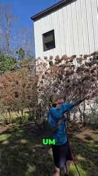 Habitat for Humanity Building Wash: Exterior Cleaning Services #shorts