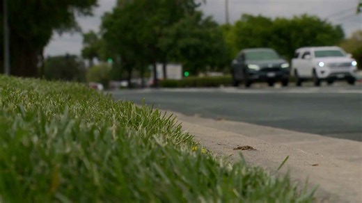 Man allegedly kidnaps girl after online game sessions