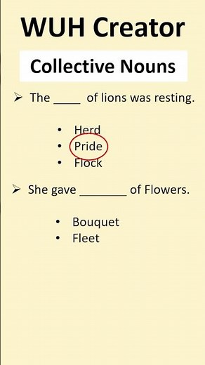 Collective Nouns in Sentences | Learn Correct Answers with Explanation