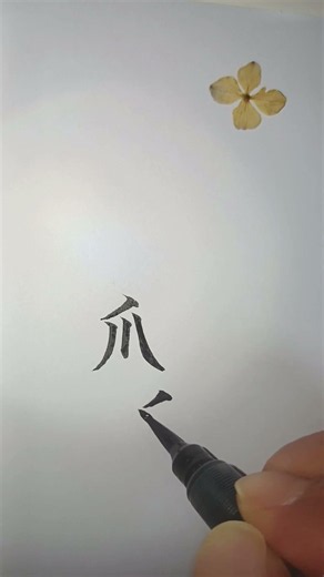 손톱조 부수4획_186쪽 (중학교 한문 천재교과서)