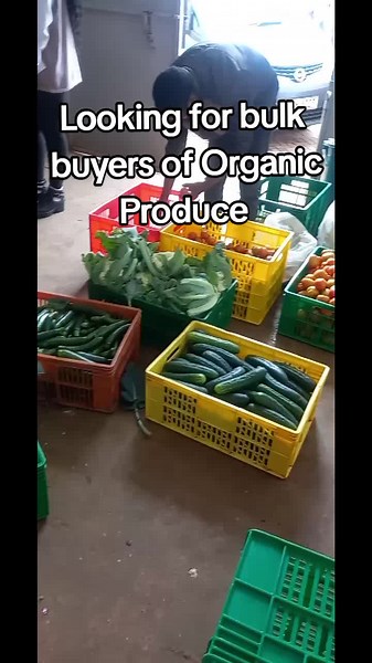 Organic produce haul! #fyp #organic #luvorganic #sustainability #sdg2 #sdg13 #farmlife