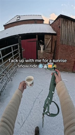 Tack Up My Pony for a Sunrise Snow Ride