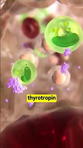 Iodine deficiency disrupts thyroid function #ThyroidHealth #Nutrition #Medical