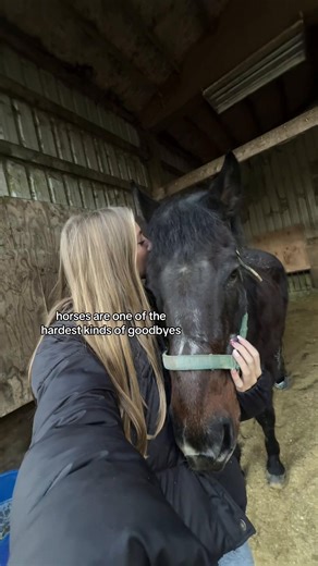 Saying Goodbye to a Beloved Horse