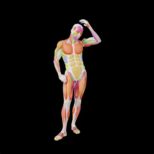 New Practice! #posemaniacs #PoseOfTheDay腰と頭に手を当てて立つポーズStanding pose with hands on hips and headhttps://t.co/uddA8Vo0SI
