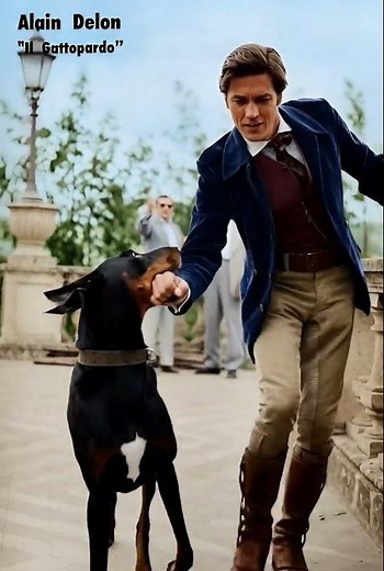 Even Dogs Loved Alain Delon! 🐕#alaindelon #ilgattopardo #theleopard #classiccinema #60s