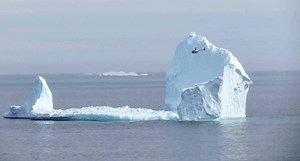 Newfoundland's Iceberg Alley receives a visitor | Earth And The Environment