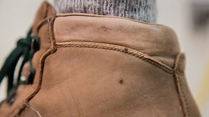 Everything you need to know about ticks in Michigan