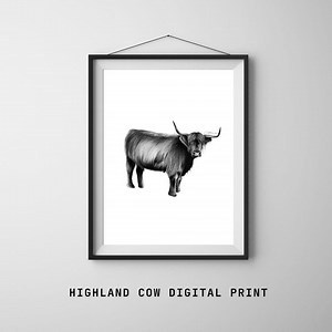 Highland Cow Art Print – Realistic Digital Download | Rustic Scottish Cow Decor | Farm Animal Wall Art | Nature Illustration for Home - Etsy.de