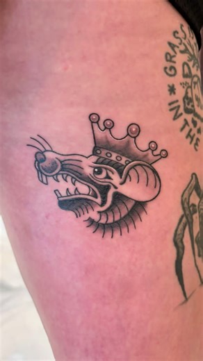 Even crooks have to pay the rent!!! King Rat - Modest Mouse inspired tattoo design which is almost healed can’t wait to see this thing healed all the way. We also might add a little color to it. Thank you for all the support I can’t do it without each and everyone of you lovely souls!!! It truly means more than you know when you like, comment, share or save one my doodles!!! This year I am truly trying to fill my portfolio with things I like to do or even cool designs it doesn’t have to be my de