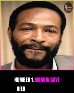 Remembering legendary singer Marvin Gaye, who tragically died at 44 after being shot by his father. #reels #marvingaye #legendary #singer #motown | Unseen Facts Compilations