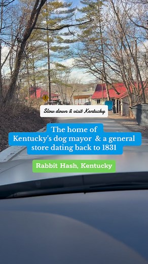 19K views · 362 reactions | Slow down & visit Rabbit Hash, Kentucky! Home of the Rabbit Hash General Store & Wilbur the dog Mayor! | The Kentucky Shop | Facebook