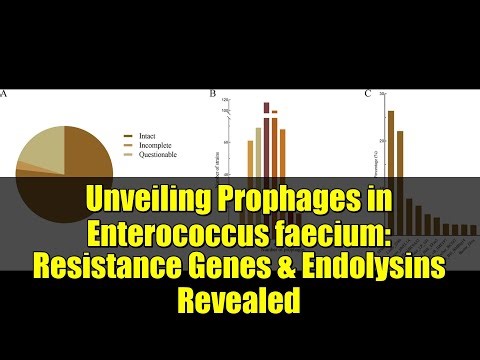 Unveiling Prophages in Enterococcus faecium: Resistance Genes & Endolysins Revealed