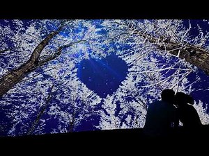 I Still Do - Bill Medley