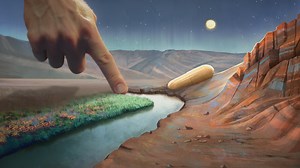 22 reactions | Welcome to the new era of aging. Guided by science, personalized insights, and innovative solutions, we’re redefining the way our bodies thrive, adapt, and rebuild. We want to let the world know that aging is a process we no longer must passively accept, but can now supplement and control. #HealthIsAgeless | Thorne | Facebook