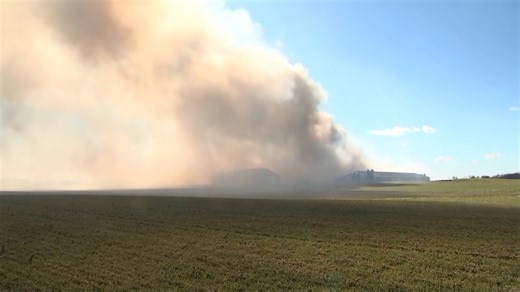 6,000 pigs killed in large Madison County barn fire
