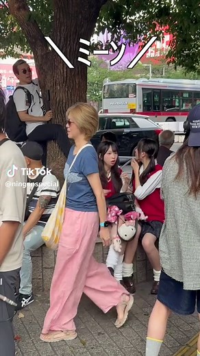 夏の風を感じるツクツクボウシの音