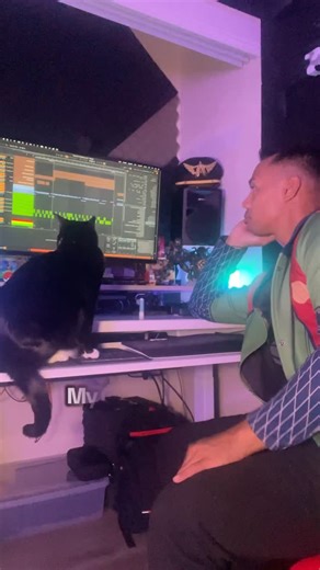 32 reactions · 10 comments | I’ll turn her into a Feral BassHead one way or the other  #housecat #cat #dubstep #basshead #dj | AJMAC | Facebook