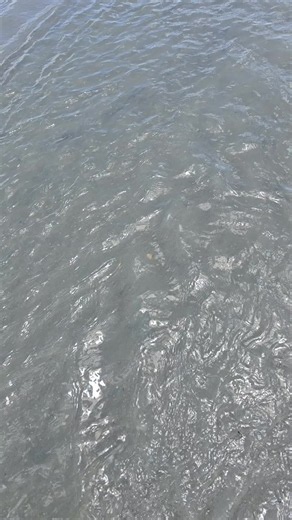 Dirty Myrtle Beach: Realities of a Troubled Oceanfront
