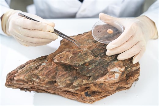 What did scientists find that could change everything we know about Australia’s history?