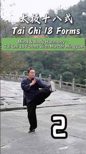 Tai Chi 18 Forms–Flow of Energy and Harmony #kungfu #taichi #wushu#ChineseMartialArts#TaiChiForLife