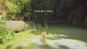 310K views · 5.1K reactions | Dedicated. Meow. Button. Stray is out now and included with PlayStation Plus Extra and Premium tiers. | PlayStation UK | Facebook