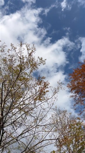 11 reactions | Henry Lin on Reels | Facebook