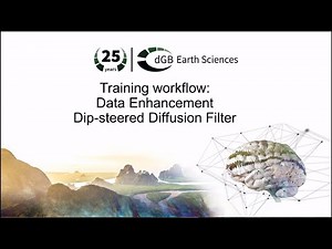 Training workflow: Data Enhancement - Dip-steered Diffusion Filter